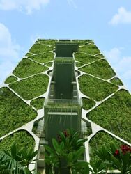 Tree House (D23), Condominium #564019571